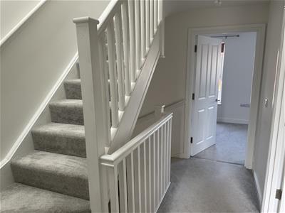 Picture 13